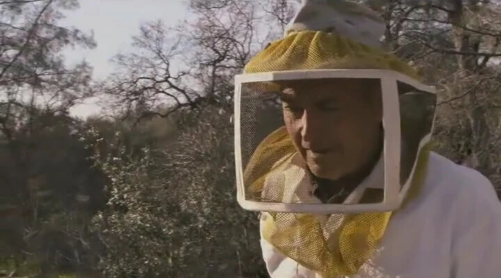 زنبوردار- خرید عسل- عطارخان