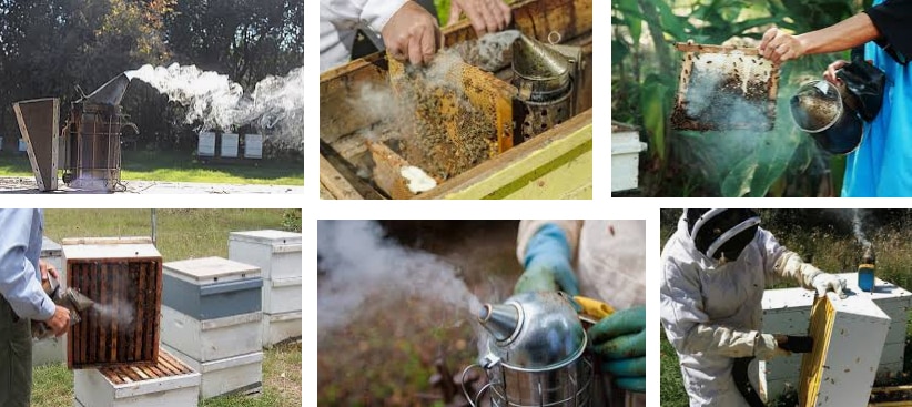 استفاده از دود برای دور نمودن زنبورهای عسل در زمان برداشت عسل