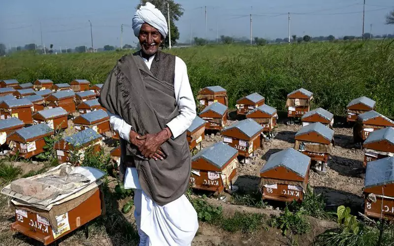 Indian beekeeper - most US honey is imported from India - Attar Khan