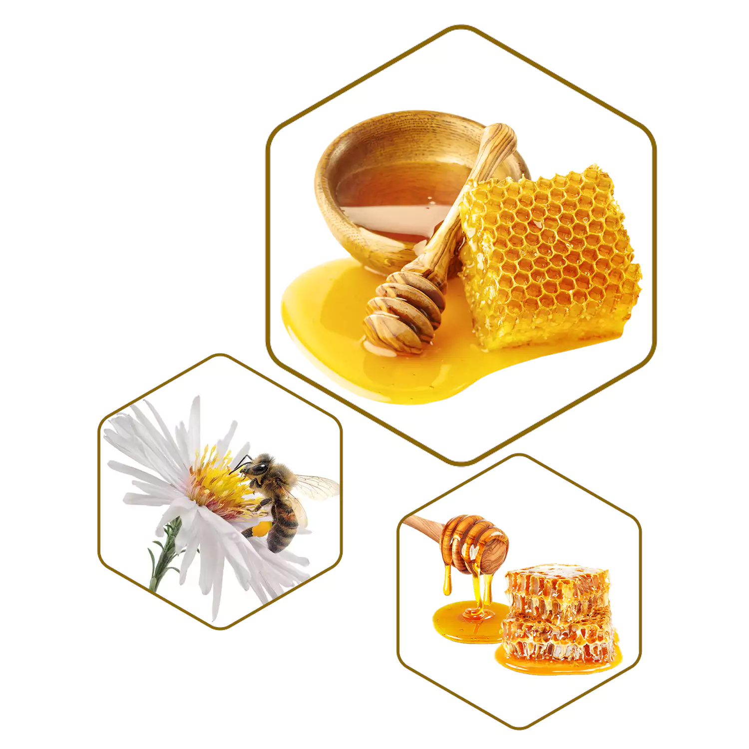 خرید عسل طبیعی آنلاین- عطارخان